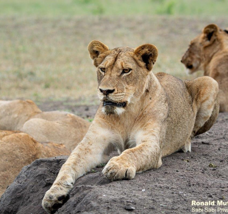 A38ronald Mutero Styx 29112022 4 Final