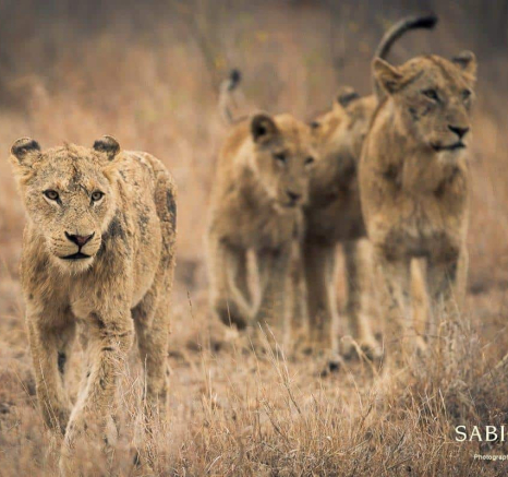 11 Terry Ennever SPMP 2018819 2 Final