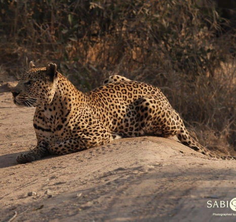 09Stefan Schoeman Max 30072019 6 Final 09Stefan Schoeman Max 30072019 6 Final