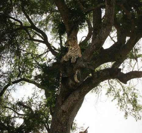 12Ruth Berning Xovonakelo 08 03 2020 1 Final