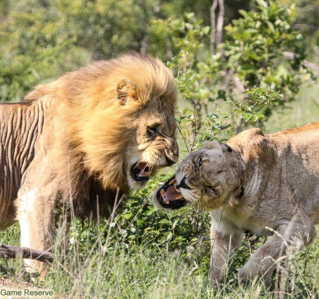 A16Erin Herbst Nwas Kambula 111212 Final A16Erin Herbst Nwas Kambula 111212 Final