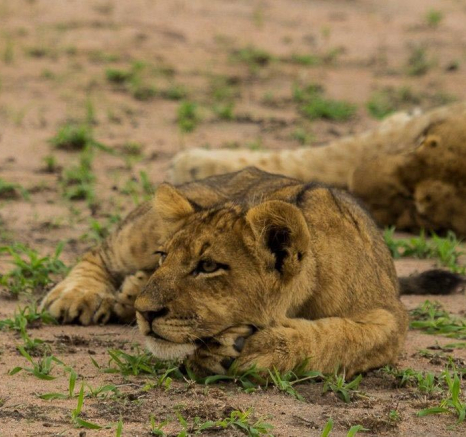 20Kevan Dobbie SP 07 Final