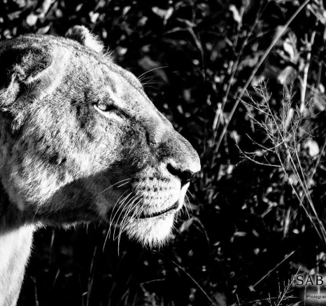 26Sheldon Hooper SP 20 05 17 3 Final 26Sheldon Hooper SP 20 05 17 3 Final