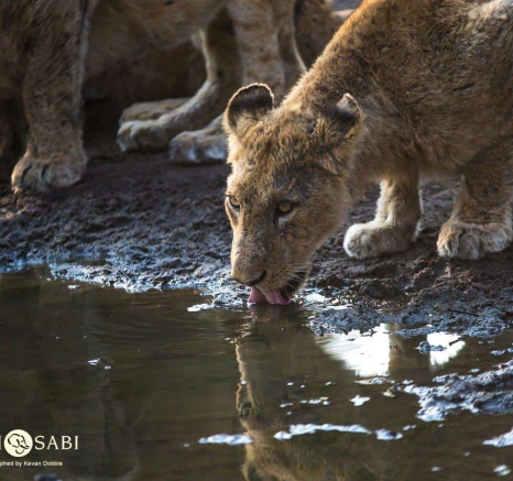 3 Kevan Dobbie Mhangeni 160818 5 Final