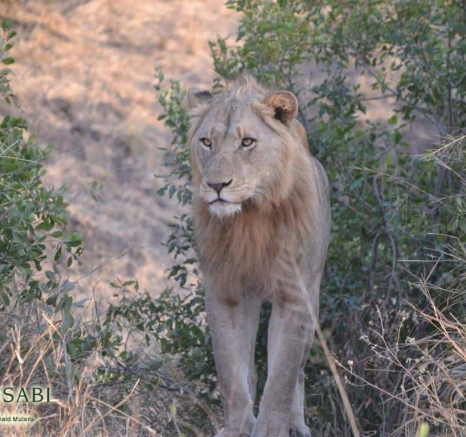 25Ronald Mutero SP 25072019 3 Final 25Ronald Mutero SP 25072019 3 Final