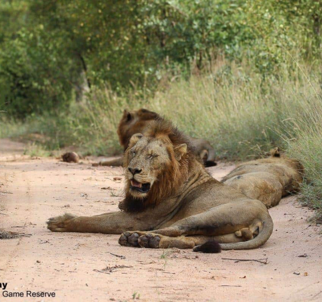 05Louise Murray Nwasishaka 16042020 Final
