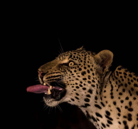 18Kyle River Rocks Male 7