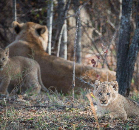 09Terry Ennever SP Cubs 16 8 16 6 09Terry Ennever SP Cubs 16 8 16 6