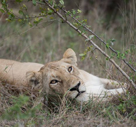 Mike Palmer Sparta Pride 3 Mike Palmer Sparta Pride 3