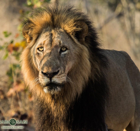 12Kevan Dobbie Charleston Male 02 Final