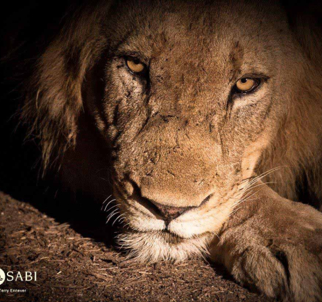 07Terry Ennever Avoca 18318 Final