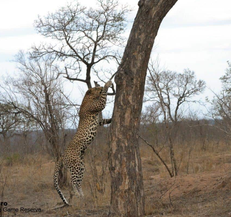11Ronald Mutero Nweti 31102019 5 Final 11Ronald Mutero Nweti 31102019 5 Final