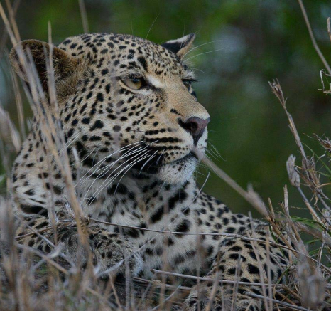 24Mike Palmer WD 251215