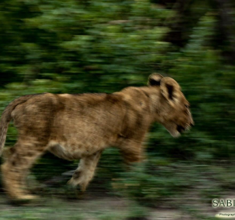 34Sheldon Hooper SP On The Move 26 12 16 Final 34Sheldon Hooper SP On The Move 26 12 16 Final