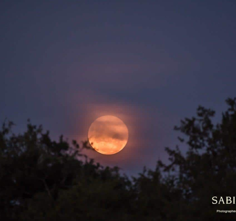 19Richard De Gouveia Full Moon Final 19Richard De Gouveia Full Moon Final