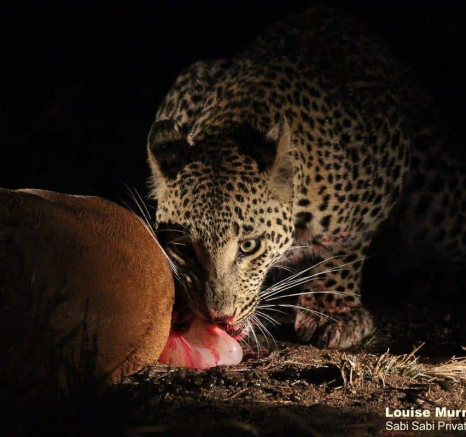 13Louise Murray Ntsumi 27052020 12 Final 13Louise Murray Ntsumi 27052020 12 Final