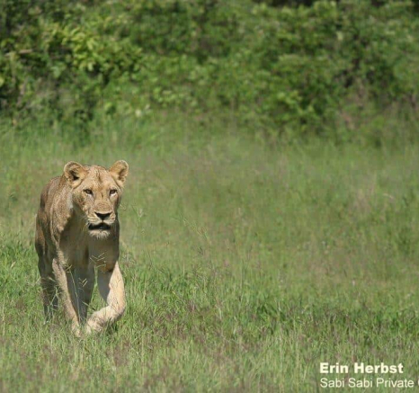 12Erin Herbst Styx Female 1 301220 Final