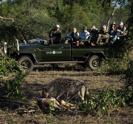 11Sheldon Hooper White Dam Cub Hyena 2 11Sheldon Hooper White Dam Cub Hyena 2