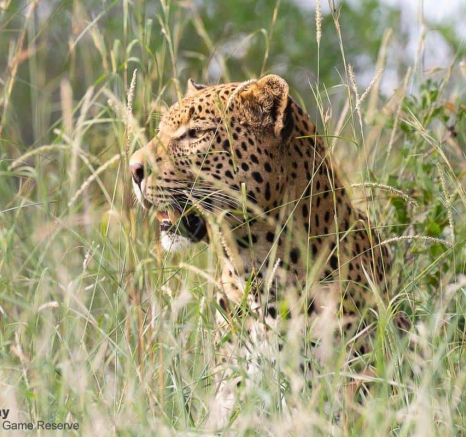 17Louise Murray WD 06022020 Final 17Louise Murray WD 06022020 Final