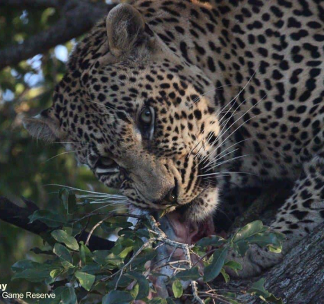 10Louise Murray Nweti 02062020 2 Final