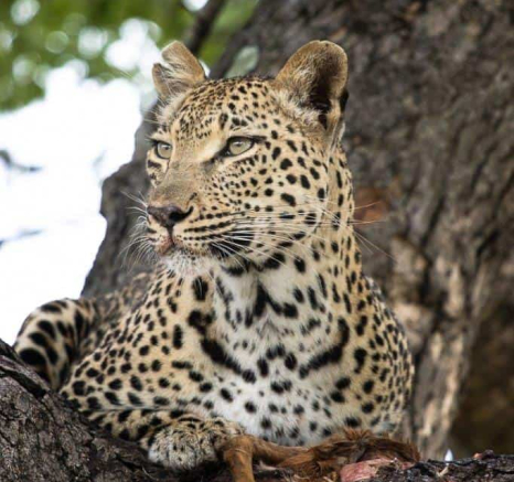 24Graeme Stewart Ntsumi 231120 2 Final 24Graeme Stewart Ntsumi 231120 2 Final