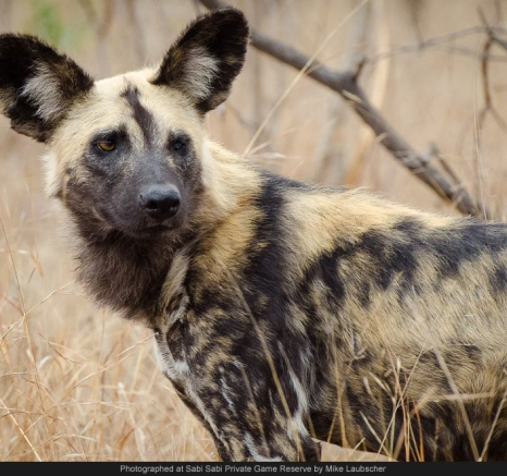 10710511 743350745712579 5681729931765697172 O