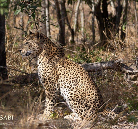 13Louise Murray Max 25072019 Final 13Louise Murray Max 25072019 Final