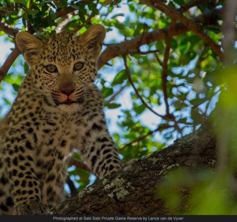 10285777 700683399979314 6463178320674041491 O