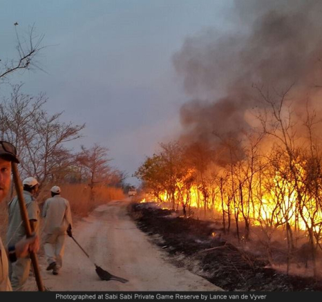 10467072 739017992812521 3498513167617072457 O