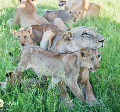 10499472 795377047176615 495234031472205346 O