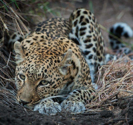 16Terry Ennever LBC 5 5 16 16Terry Ennever LBC 5 5 16