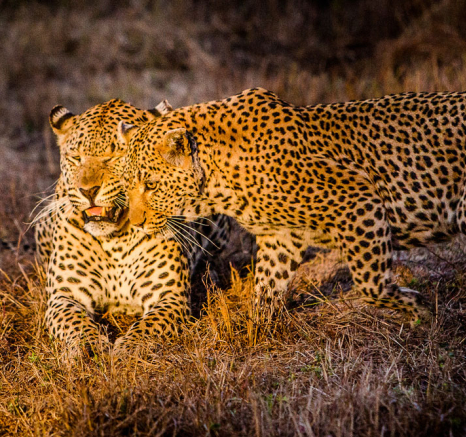 YPO 19.08 SABIBUSH JOHN.170