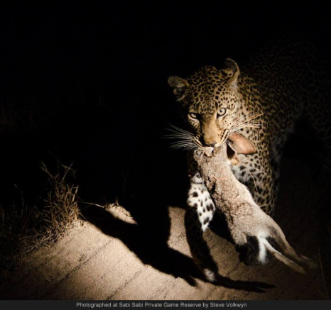 10485403 714624235251897 6033175895723591708 O