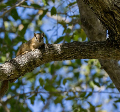 10177868 741592745888379 8601912719362690610 N