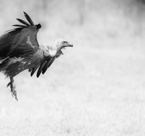 05Terry Ennever Highlights Sept Oct 13