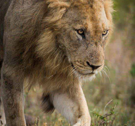 03Terry Ennever Avoca 25118 2 Final