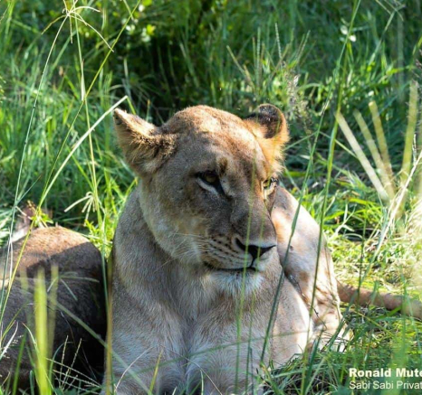 03Ronald Mutero Sp Females 04022020 6 Final 03Ronald Mutero Sp Females 04022020 6 Final