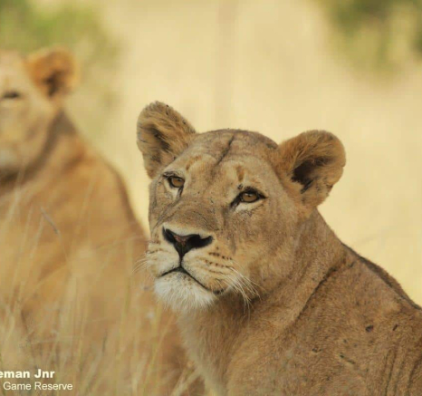 46Stefan Schoeman Jnr SP Final 46Stefan Schoeman Jnr SP Final
