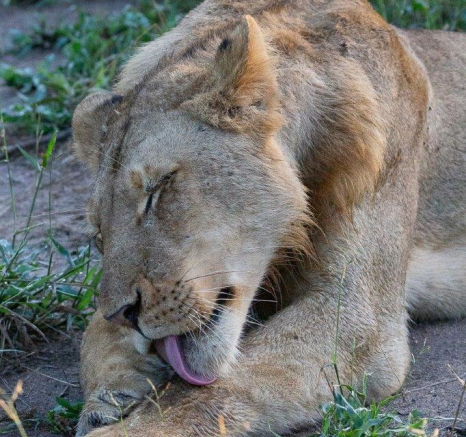 17Greg Heasman Sand River 21042020 Final