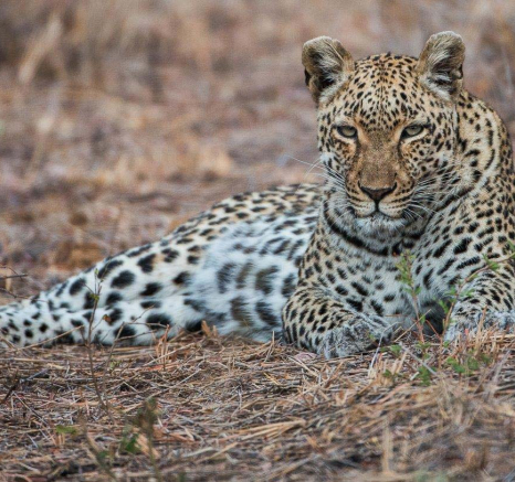 20Terry Ennever LBC 17 7 16 2