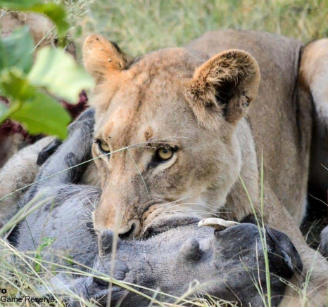 06Ronald Mutero Sp Females 06022020 15 Final 06Ronald Mutero Sp Females 06022020 15 Final