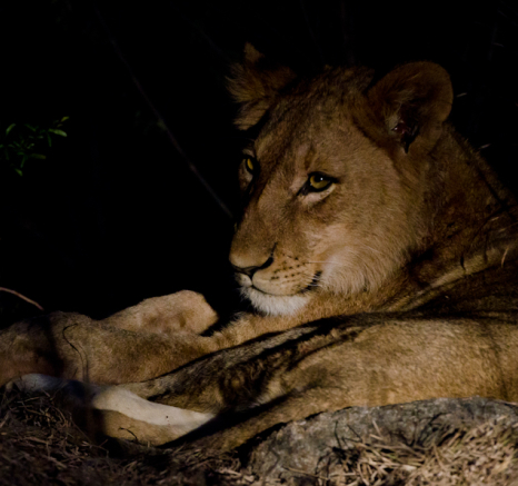 Week In Pictures 7 Week In Pictures 7