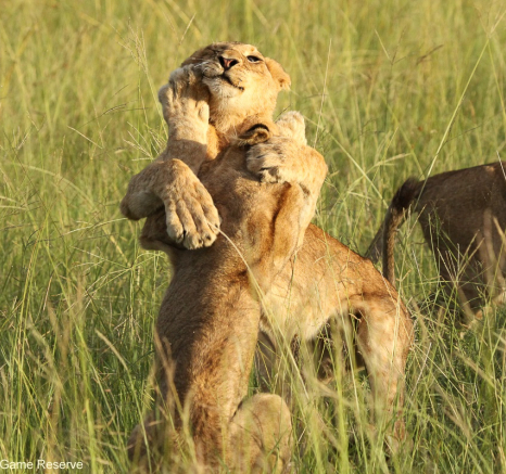 B14Erin Herbst Styx 3 080222 Final