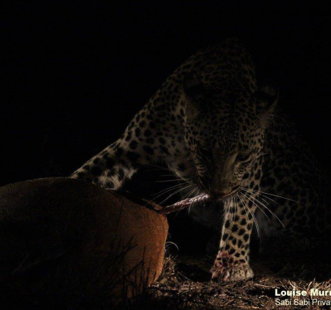 07Louise Murray Ntsumi 27052020 6 Final 07Louise Murray Ntsumi 27052020 6 Final