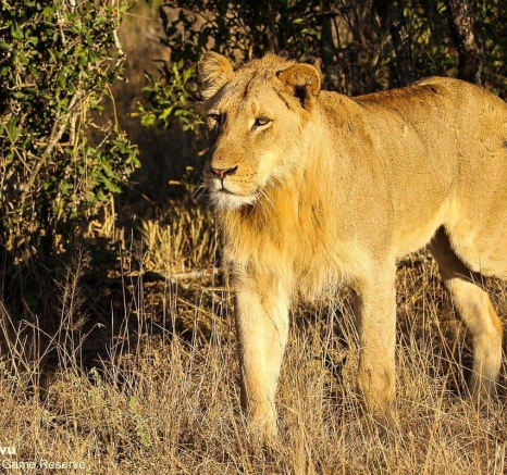 47andries Sand River 100720 1 Final