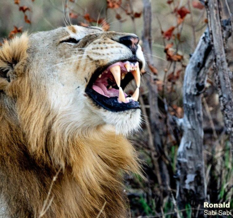 30ronald Mutero Ottawa Break Away 15062021 6 Final 30ronald Mutero Ottawa Break Away 15062021 6 Final