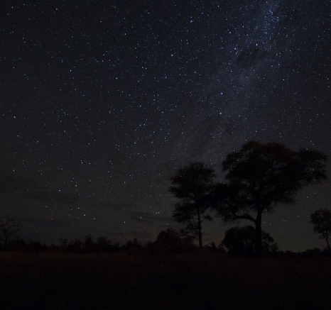 05Sheldon Hooper Star Stitch 4