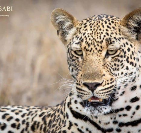 14Kerry Lee Roberg Msuthlu 311018.1 Final 14Kerry Lee Roberg Msuthlu 311018.1 Final