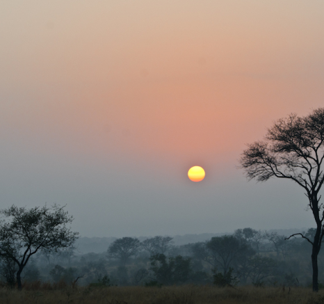 Week In Pictures 14 Week In Pictures 14