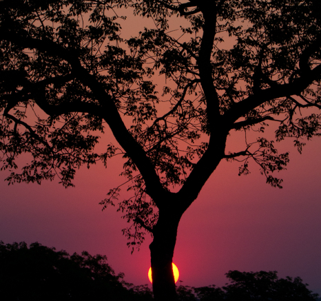 Sunrise Sunrise